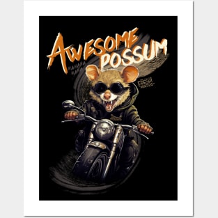 Awesome Possum Posters and Art